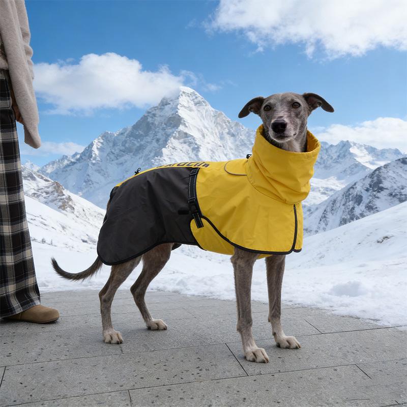 Pet Clothes Pet Jacket Outer Waterproof and Windproof Double Layer Warm Plus Long Neck Hat Dog Jacket