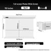 IN&VI DFL Electric Projection Screen
