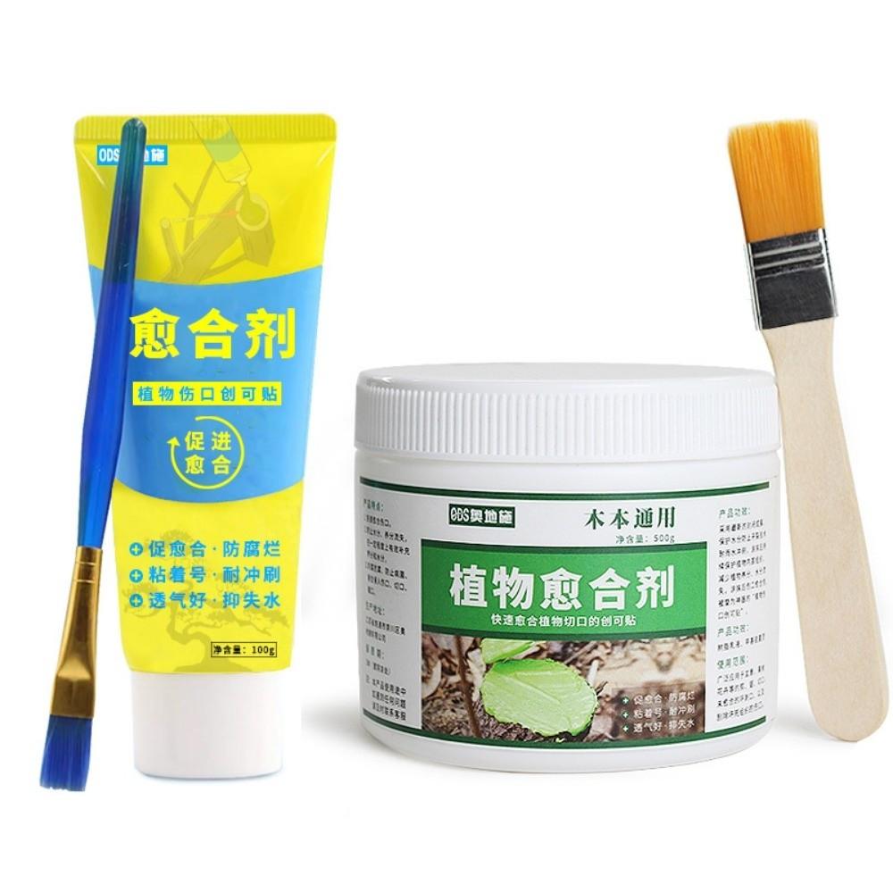 Smear Agent Tree Wound Sealant with Brush Plant Restoring Sealant New Pruning Compound  Tree Care
