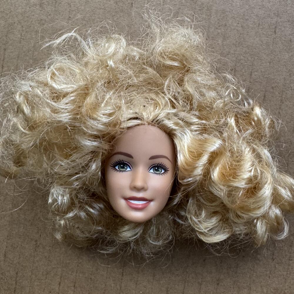 1/6 Doll Heads Rare Face White Beige Brown Skin Tone