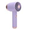 Cordless Ionic Hair Dryer Portable Stylish Hot Cold Wind Blow Dryer for Home and Travel Purple