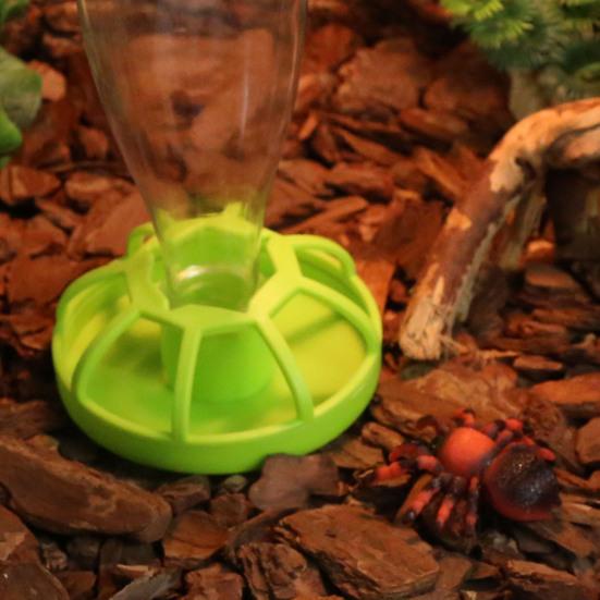 Drinking Fountain Easy to Clean Detachable Smooth Edges Wear-resistant Space Saving Feed Water Convenient Reptile Water Drinker Dispenser for