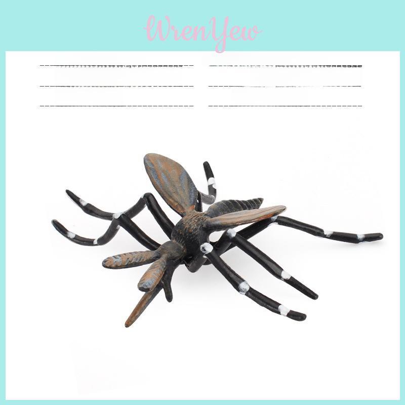 Insect Educational Toy Set With Wasps Ants Crickets Models For Kids Science Learning