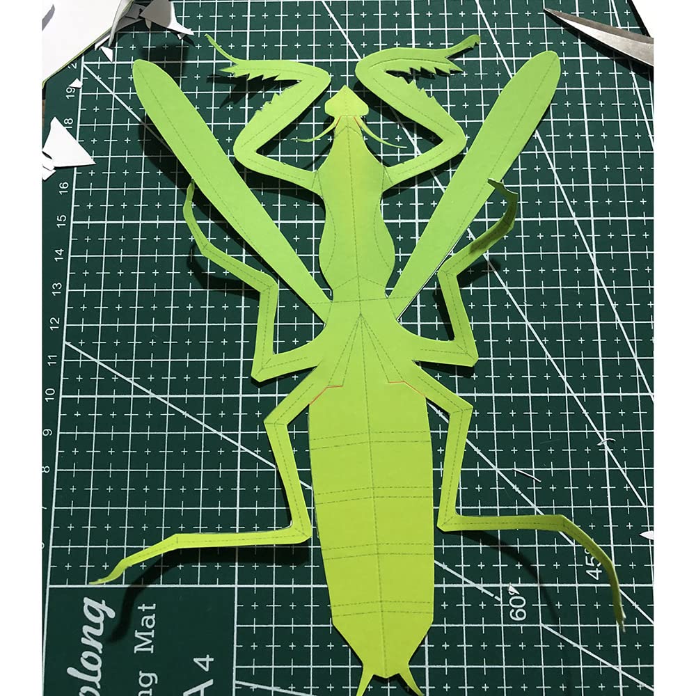 3D Assembly Papercraft Insect Model Set of 6 Stag Praying (Beetle, Beetle, Mantis, Butterfly, Dragonfly, Grasshopper)