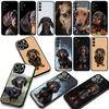 Phone Cover for Samsung Galaxy A07 A13 A12 A14 A23 A42 A50 A51 A52 A53 A70 A71 A72 A21S A04 Note 20 9 8 10 Case Dachshund Dog