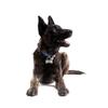 Custom Pet ID Tags with Free Engraving, Bone-Shaped Anti-Lost Name Plates for Dogs and Cats