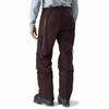 Arc'teryx RUSH Gore Te Ski Pants Men's (Unisex) Ski Pants 21703