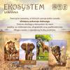Ecosystem 3 - Savannah