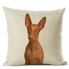 Nordic Animal Portrait Decorative Cushion Cover Dog Fashion Sofa Pillow Cover 45x45cm Linen Children's Gift Dog Companion