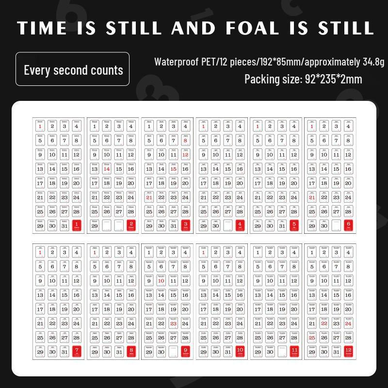 

365-Day Decorative Date Stickers Set for Planners - Pack of 12