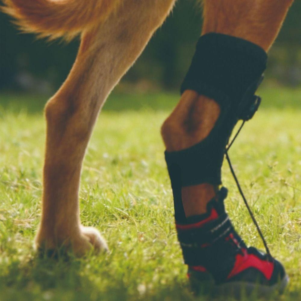 Anti Drop Paw Protectors Wear-Resistant Drops Foot Brace No Knuckling Pet Boot Indoor Use