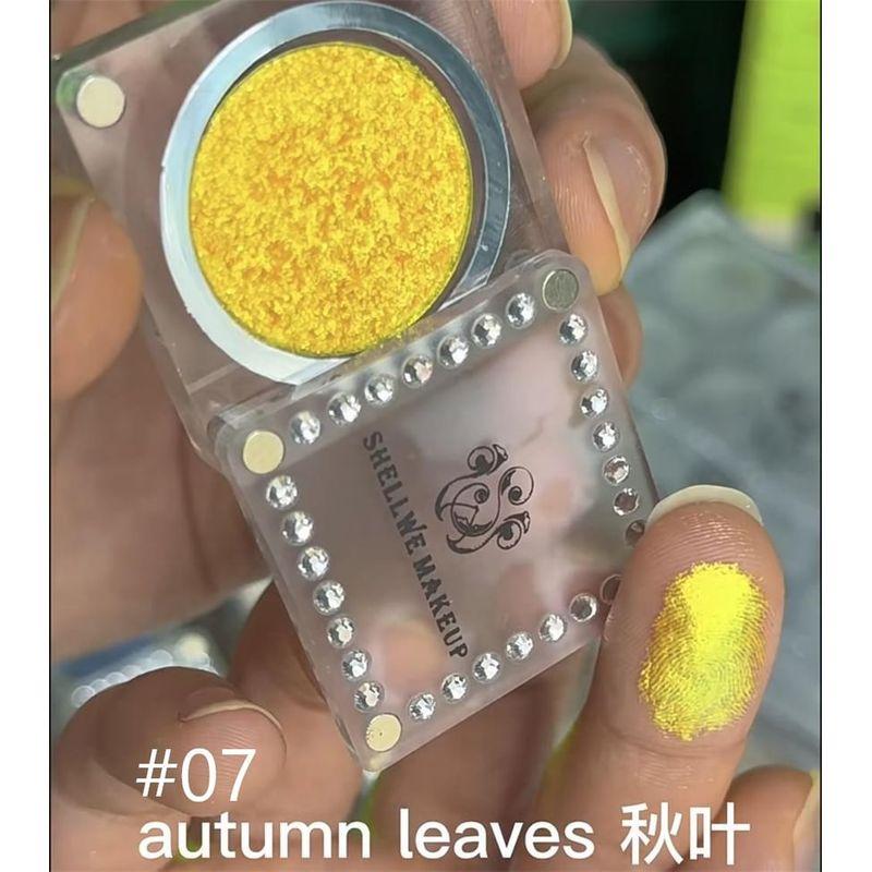 SHELLWE MAKEUP - Stray Birds Coarse Slices Chameleon Eyeshadow - 4-6