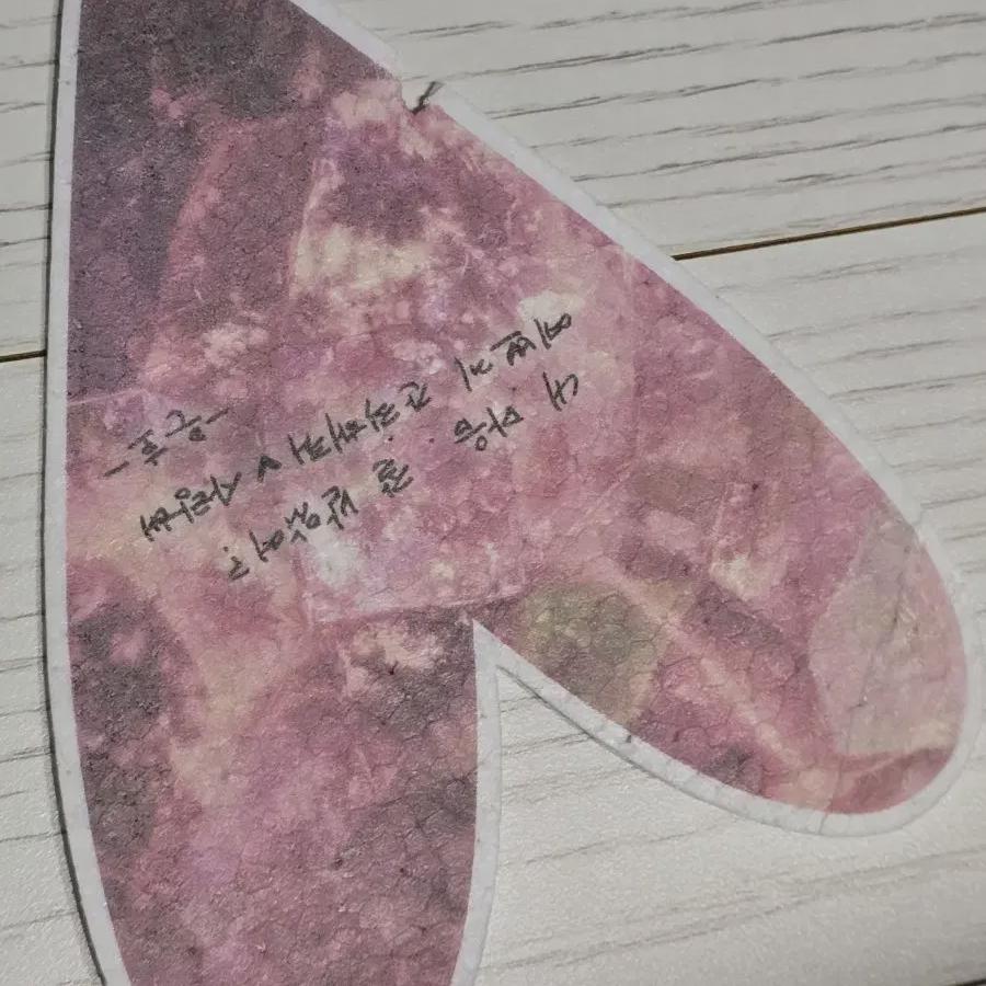 

Plave Eunho Confetti First Concert