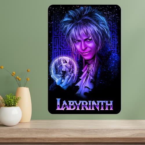 Labyrinth Classic Movie Metal Poster Sign 20x30cm（7.8x11.8inch）