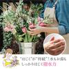 KuSu Hand Cream Pro 40g Unscented [5 beauty ingredients, 3 vegetable oils, moisturizing, additive-free, smooth and long-lasting moist feeling] Gift