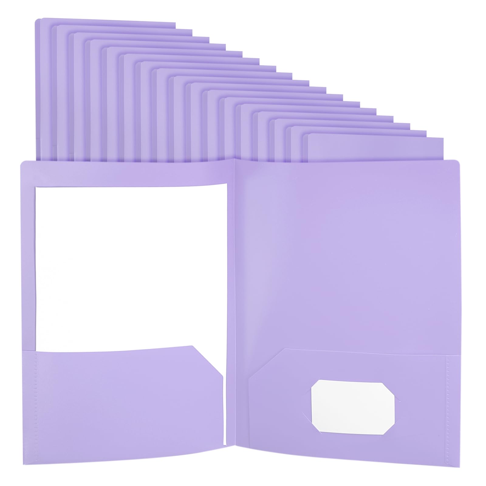 

PATIKIL Pocketed Plastic Folders, Set of 36, Letter Size, Double Pockets, with Business Card Holder, 9.3 x 11.4 inches