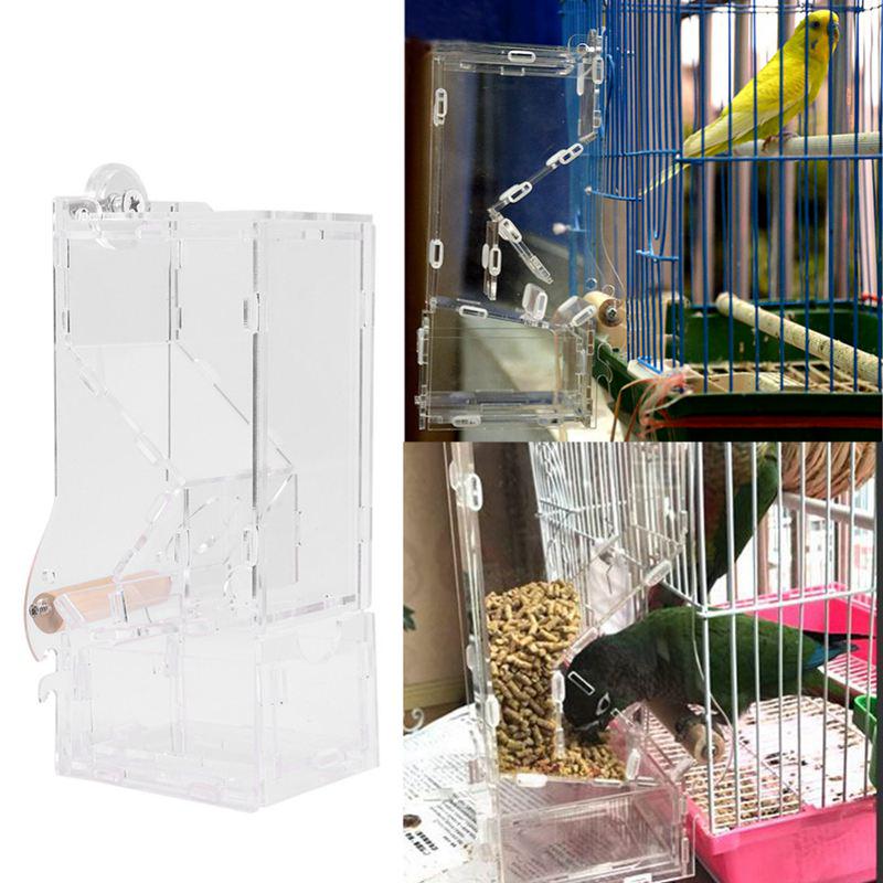 automatic budgie feeder