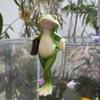 Frogs Statues Pot Huggers Decorations for Plant,Miniature Frogs Figurine Garden Decors Outdoor Plant Hangers Decors