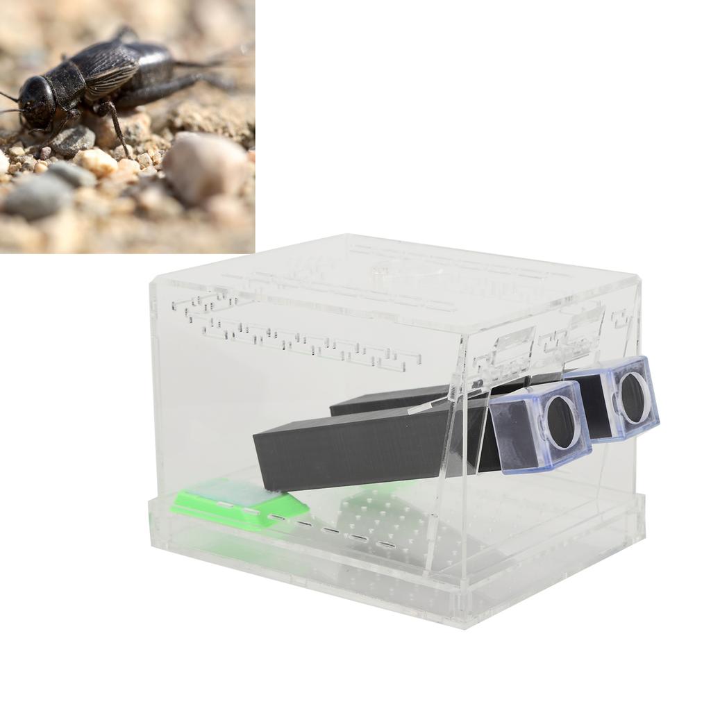 Acrylic Feeding Cricket Keeper Pen with Tubes Insect Cockroach Care Kit Reptile Tank BoxL
