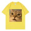 Surprised Cat Face Funny Meme Graphic T Shirts Unisex Unisex Casual Cotton Short Sleeve Tshirts Summer Fashion Oneck Loose Tshirt