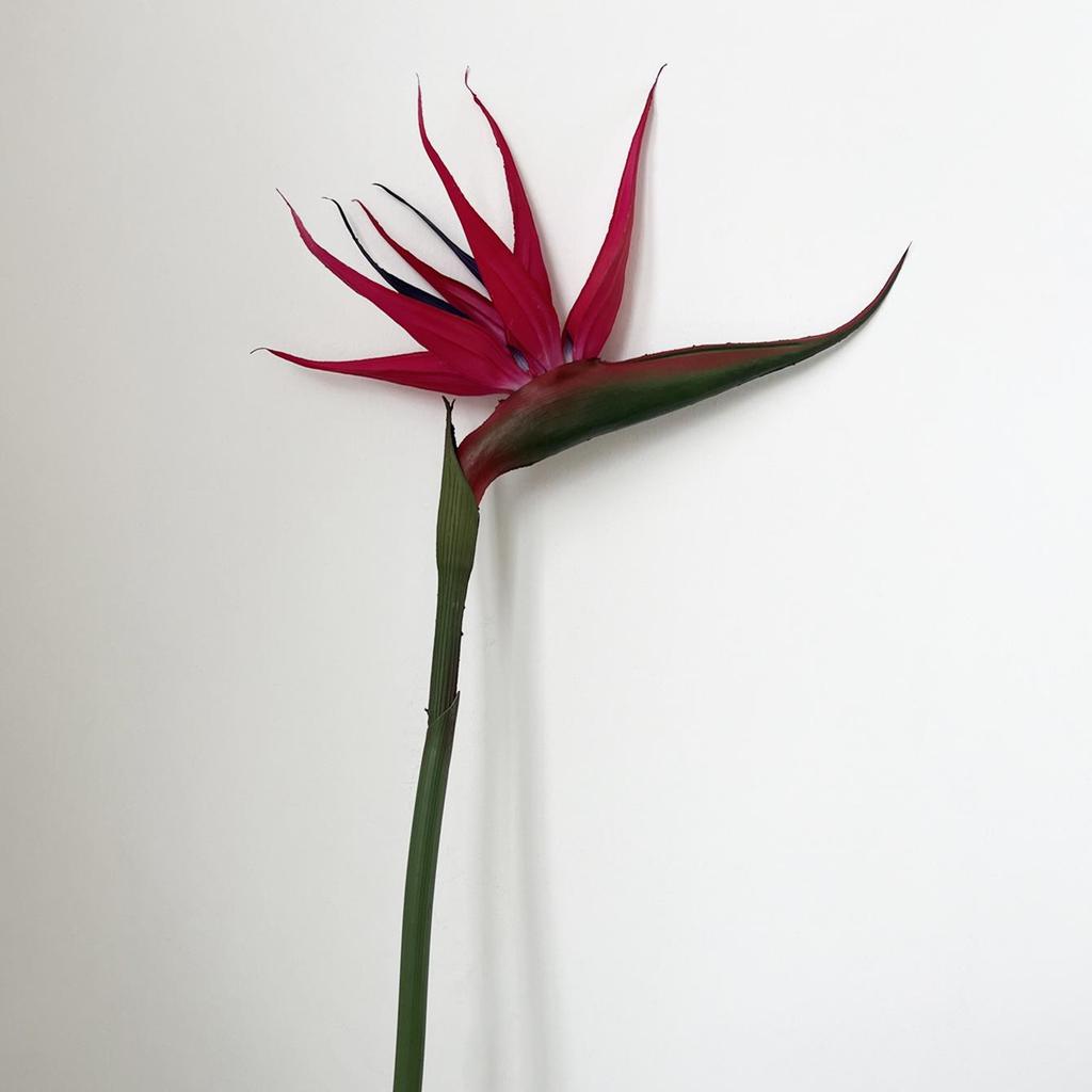 Fiore di Seta Uccello del Paradiso - Arredamento Premium per la Casa, Esposizione per Showroom, Oggetto di Scena per Fotografia