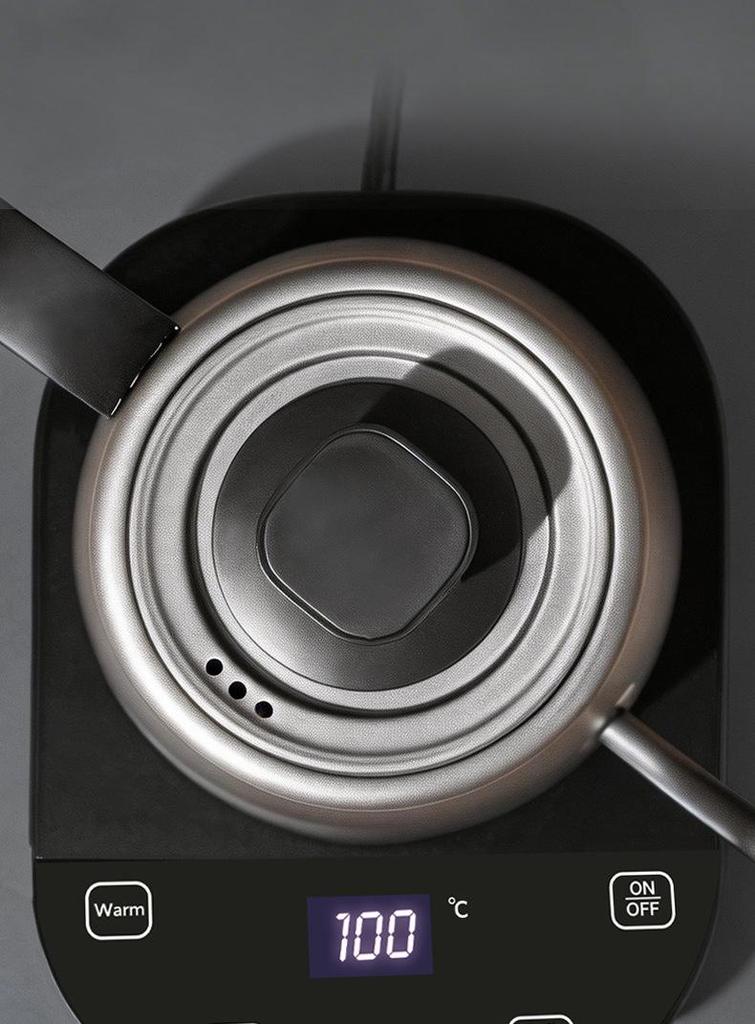 European Gooseneck Electric Kettle - 304 Stainless Steel Pour-over Coffee Pot with Long Spout
