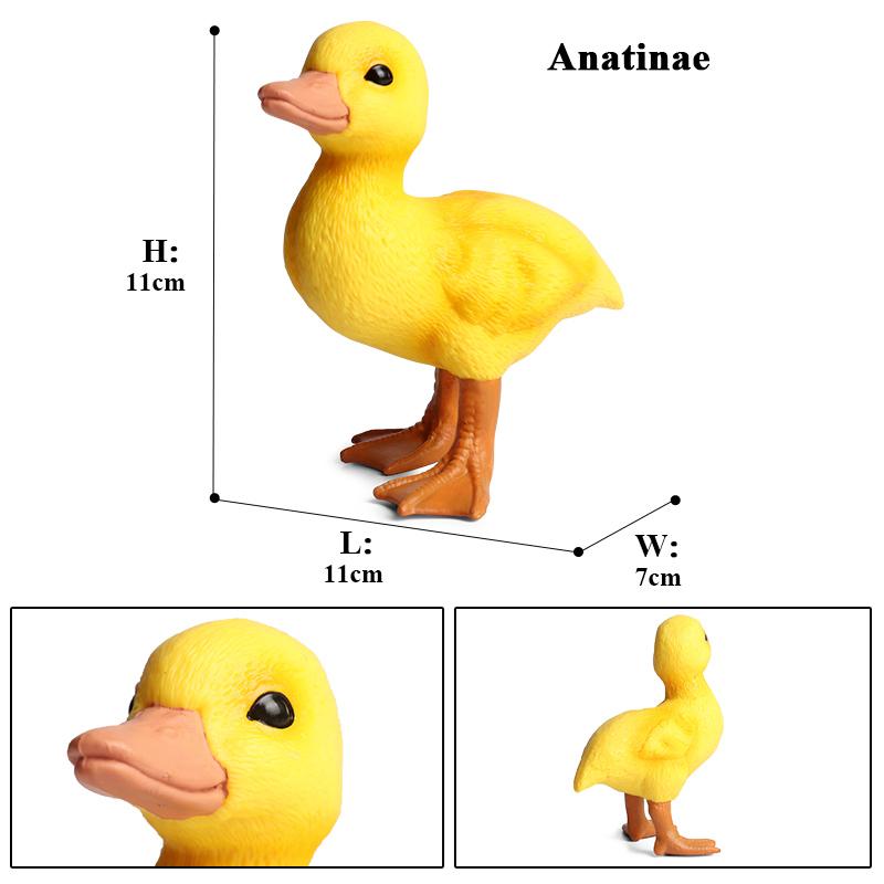 Oenux Simulation Cute Poultry Farm Animals Model Mandarin Duck Goose Swan Hen  Action Figures PVC Miniature Toy Gift For Kids