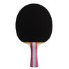 Double Fish 6-Star Offensive Table Tennis Racket