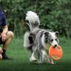 Bite Resistant Pet Flying Disc Toy Steering Wheel Shape Dog Toys Flying Discs  Teeth Cleaning