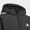 Adidas Kids Down Jackets Hooded Moderate HY0560