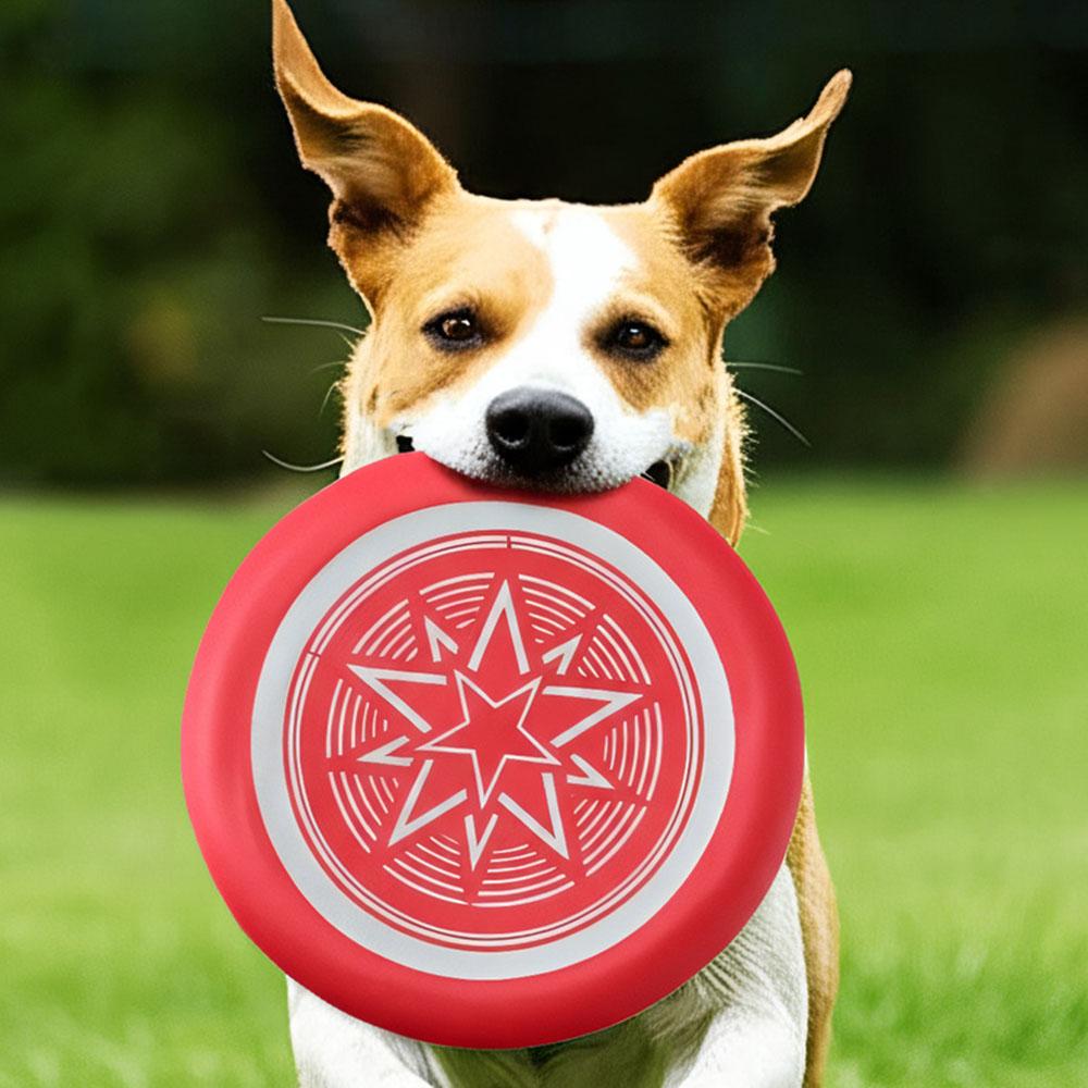 Pet Toy: Soft Bite-Resistant Fluorescent Training Disc, Dog Play Toy - Glow-in-Dark Flying Disc for Pet Training & Play