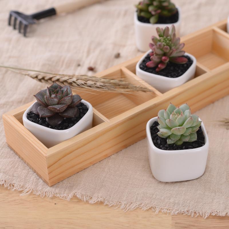 Set of 5 Ceramic Succulent Pots – Mini Flower Planters with Bamboo Tray for Home & Office Decor