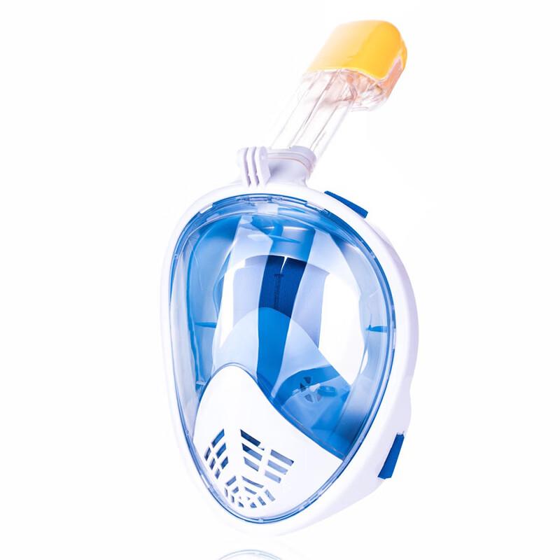 Pulian Full Face Snorkel Mask