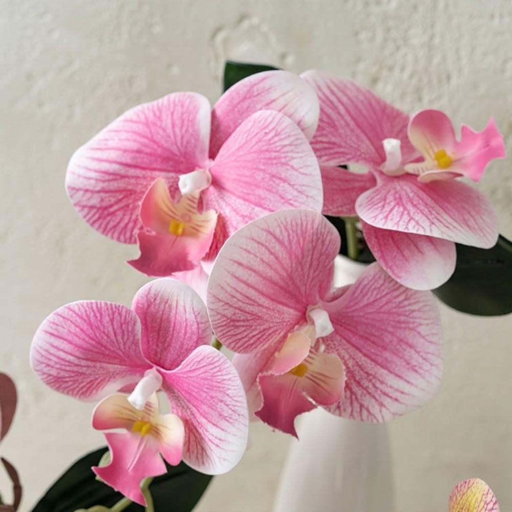 Cloth Simulation Phalaenopsis Vivid Fake Butterfly Orchid Artificial Moth Orchids  Bedroom
