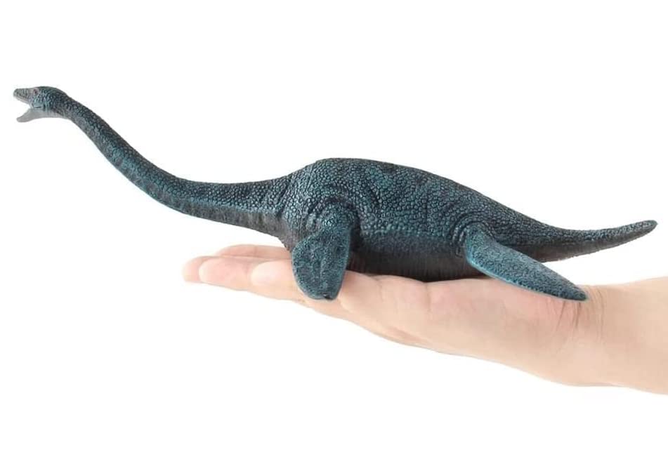 SanDoll Dinosaur Figure Realistic Model Jurassic Period 30cm Class Reptile Impressive Carnivorous Children Toy Present Display (Plasiosaurus)