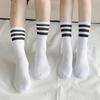 [5-pair Set] Men's and Women's Double Cushion 3-Line Mesh Long Socks