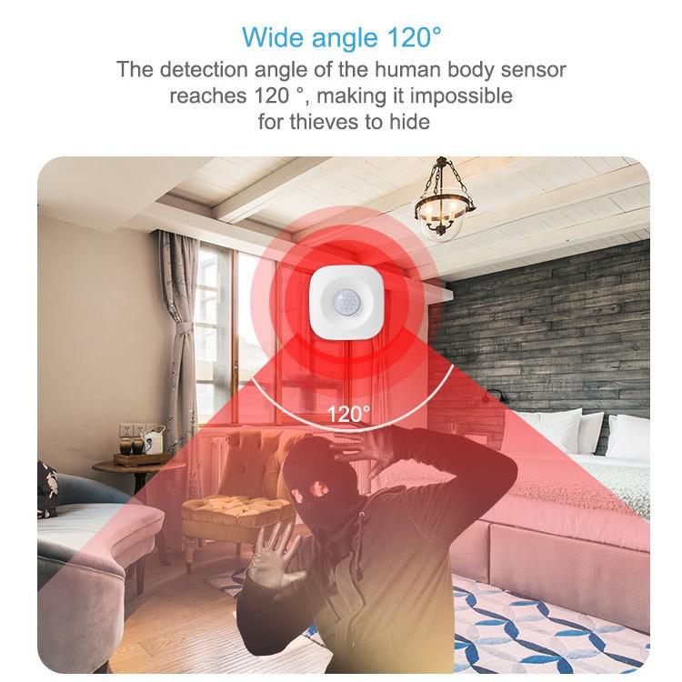 Graffiti Tuya WiFi Infrared Motion Sensor for Alexa