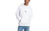 Sweatshirts Men's White Hooded Moderate Regular HY1278