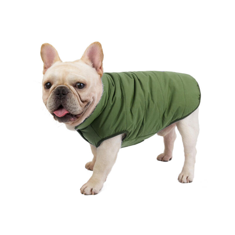 Winter Padded Vest Dog Clothes (XXL/Green)