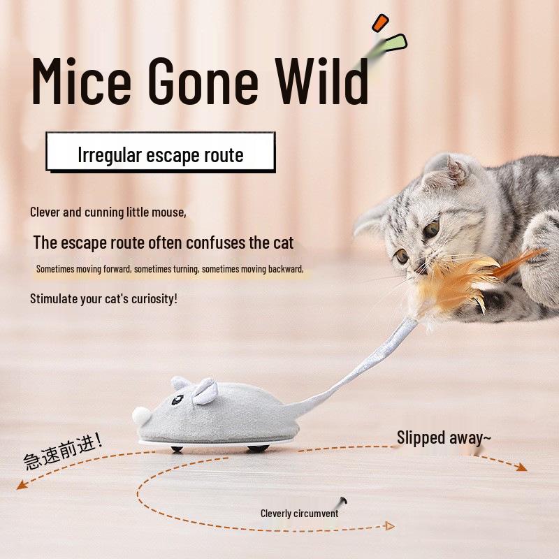 Elektrická myš a pírková hračka: Automatická, dobíjecí hračka pro kočky, která se sama hraje