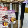 10 Pièces Bandes Suspendues Transparentes en Plastique pour Snacks Universelles Étagère de Supérette Présentoir Alimentaire Cintre Pliable Clip de Magasin Bandes