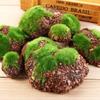 For Vase Glass Cylinder DIY Artificial Plant Moss Micro Landscap Fake Stone Rock Foam Moss Stone