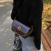 Small square bag women's 2025 new shoulder underarm bag commuter messenger bag factory one piece delivery