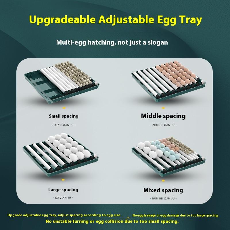 Chicken Incubator Small Home Incubator Automatic Smart Home Egg Incubator Chicken Seedling Water Bed Incubator