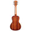 KALA Kala Ukulele Set Series Bundle Pack Mahogany Body Concert Successor KA-15 KA15C-BNDL-20_06 [KA-15C-BNDL Model] (Case/Strap/Replacement