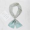 Korean Version of Spring and Summer Long Silk Scarves, Small Scarves, Scarves, Women's Versatile Printing Thin and Narrow Headbands Are Very Good Yao