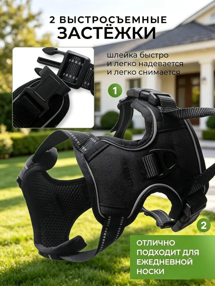 Harness