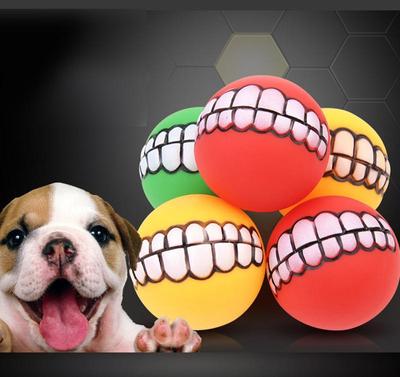 Haustiere Hund Katze Welpen Ball Zähne Spielzeug