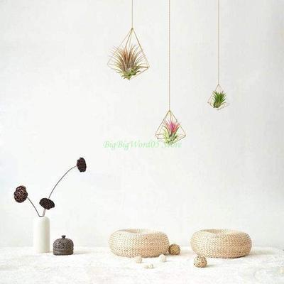 24TE 5 Stück Moderner Metall Geometrischer Luftpflanzenhalter Minimalistisches Terrarium Pflanzgefäß Aufhänger Displayständer Gestell Tischplatte Heimdekoration