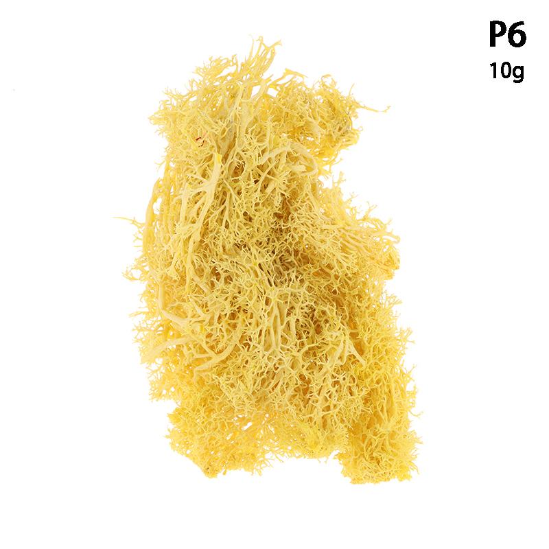 Colorful Natural Artificial Moss Plant DIY Dried Reindeer Moss Decor Resin Epoxy Filling Jewelry Garden Decorate Supplies